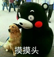 李国庆豪横夺权，常程两次道歉