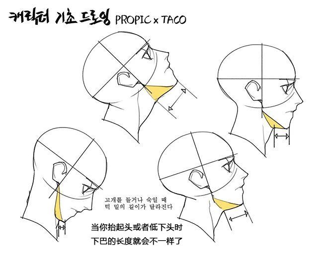 看完这组绘画透视素材,让你学会画动漫人物头部!