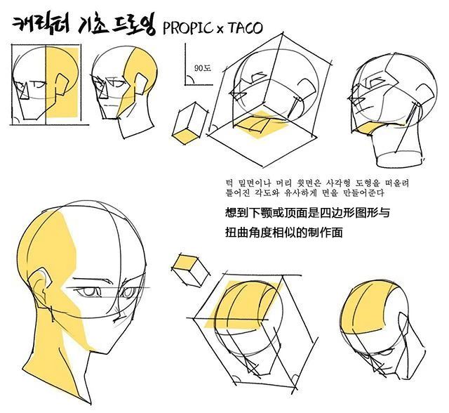 看完这组绘画透视素材,让你学会画动漫人物头部!