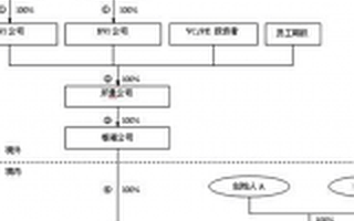 金有元：详解搭建VIE架构时，各境外公司目的与功用