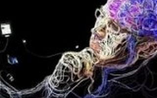 九轩资本刘亿舟：创业和投资需要的十种思维