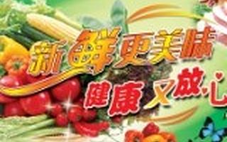 生鲜电商Dmall获IDG资本1亿美元天使轮融资