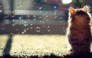 今夜酒店特价创始人任鑫:我们为什么会失败?(下)