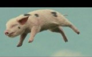 猎豹CEO傅盛：怎样找到未来的风口？