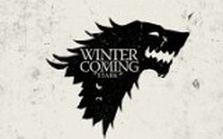 米仓资本合伙人张璠：资本过冬时，创业者应该趁机修炼这5项内功