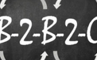 天使投资人Iris：B2B狂热后将回归理性，有这4点特质才会受VC青睐！