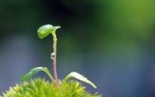 百度系创业者的创业思考:如何找人找钱找方向?