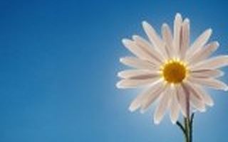 餐饮管理公司客如云获百度和天星资本领投6600万人民币B轮融资