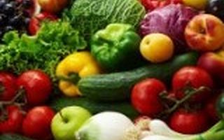 蔬东坡付功卫：餐饮食材O2O的五大黄金法则