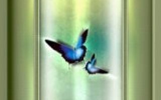 创业教训:一个“独家增资权”条款猫腻