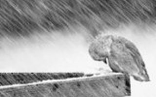 创业公司如何过冬？老兵杨浩涌倾囊贡献两点过冬技巧