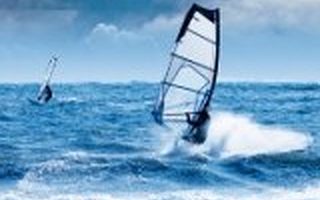 蓝湖资本合伙人胡磊：创业者如何猎杀恐龙？