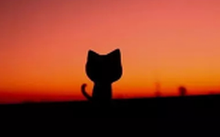 汽车后市场B2B交易平台喜汽猫将停运，创始人总结3大失误，提醒防范7个坑