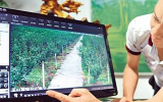 農民工返鄉創業的連鎖效應