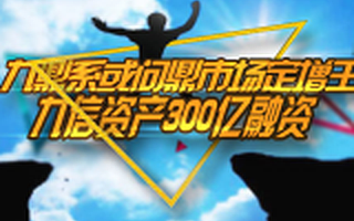 起底九鼎系債權換股:九信300億定增紓解地產融資難 背后蟄伏龐大資本運作規劃