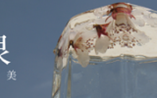 为什么当有人和你说要做“X领域的uber”时，你要当心？