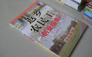 前11月4.2万农民工返乡创业 创办企业1.6万个 吸纳就业21.3万人