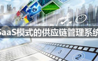 基于SaaS模式的供应链管理系统市场分析