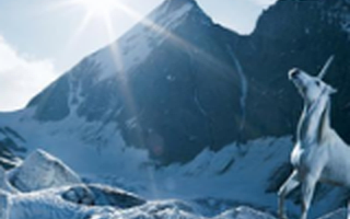 北极光邓锋：资本寒冬真的存在么？未来五年创投趋势要看这三大主题