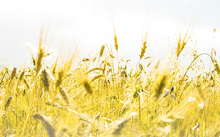 北京小微企业的税收优惠政策