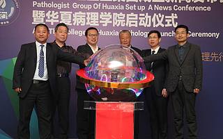 国内首个病理医生集团宣布成立,将从病理入手,破局分级诊疗