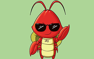 用小米思维卖虾，3个月他卖了70万