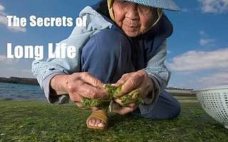 在全球资源整合的路上,源品优购坚定不移。