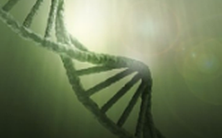 基因检测公司“星舰基因”完成千万元级别的天使融资