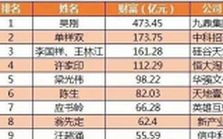 谁是新三板最富的人？恒大许家印才排第四