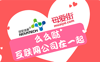 诺安诺泰和母爱街“相爱”了，拉开了济南互联网公司合纵连横序幕