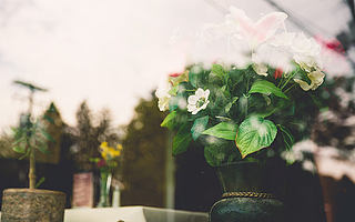 大樹說 | 兩年前在知乎上寫的一篇帖子