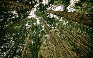 我们是如何定义知识共享经济的