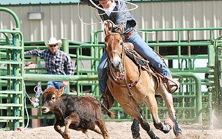 西部数据收购闪迪,是否强强联合