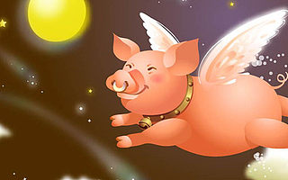 猪倌巴巴潘灏：没有窄众账号，只有不用心的自媒体