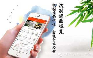 vc说我们最看重的是团队你信吗？