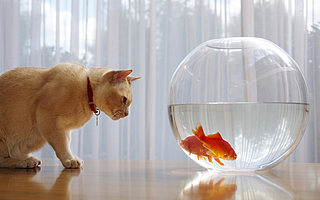 一张图看懂创业项目融资