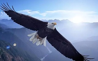 新三板分層落地:不可不知的新變化、新思路與新機(jī)遇