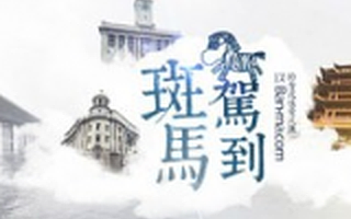 斑马社获得500万元天使轮投资