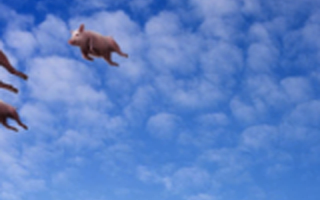 创业六法之方向:不要盲目应对变化,直到形势对你提出要求|总小编时间