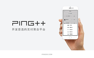 企业级服务迎来收费潮,Ping++ 推出不同版本收费服务