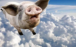 从小就是乖孩子？你总是个老好人？抱歉，你很可能并不是创业的那块料