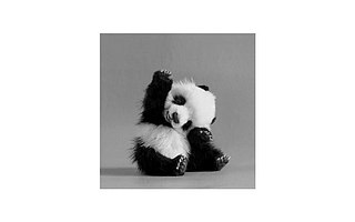 客户打来电话,你真的知道他们需要什么吗?