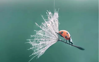 这是一个单枪匹马难以存活的时代,选择创业需要借力而行