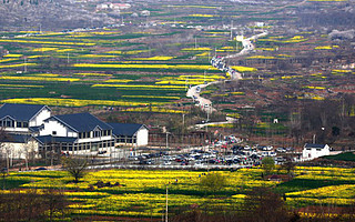 “新企农人”理论:展现更大的理论创新勇气(一)