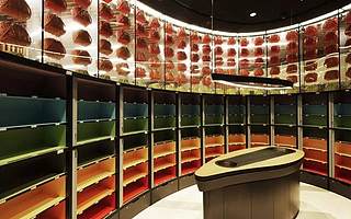 一个卖传统海味的公司,造了座不传统的森林大楼 | 梦想+好看