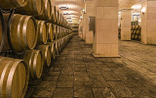 五大“创投明星机构”齐聚酿酒大师艺术馆开馆盛典 —— “时代匠心，传世之美”，酿酒大师艺术馆开馆盛典