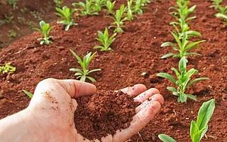 万亿互联网农业市场，哪些领域还有机会？