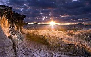 玩真的！入境美国要检查社交媒体账户！这些词千万不要用
