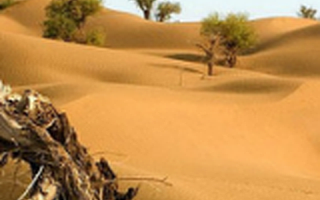 探访塔克拉玛干大沙漠众创空间:一个不怕阿里京东竞争的电商生态是如何打造的?