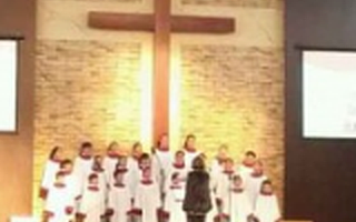 Freebao-微鸟获1000万元Pre-A轮融资